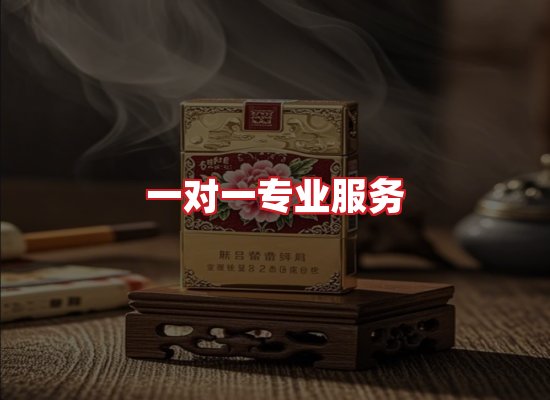 专业团队
